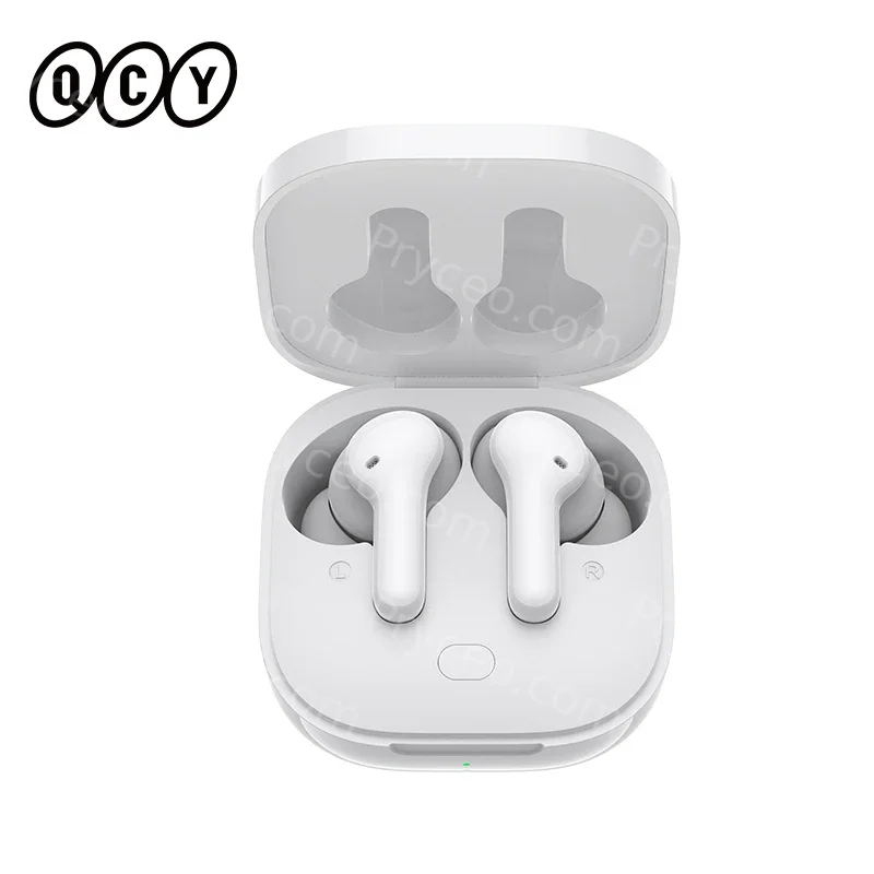 QCY  T13