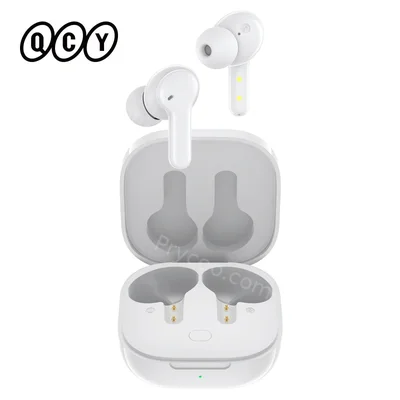 QCY  T13